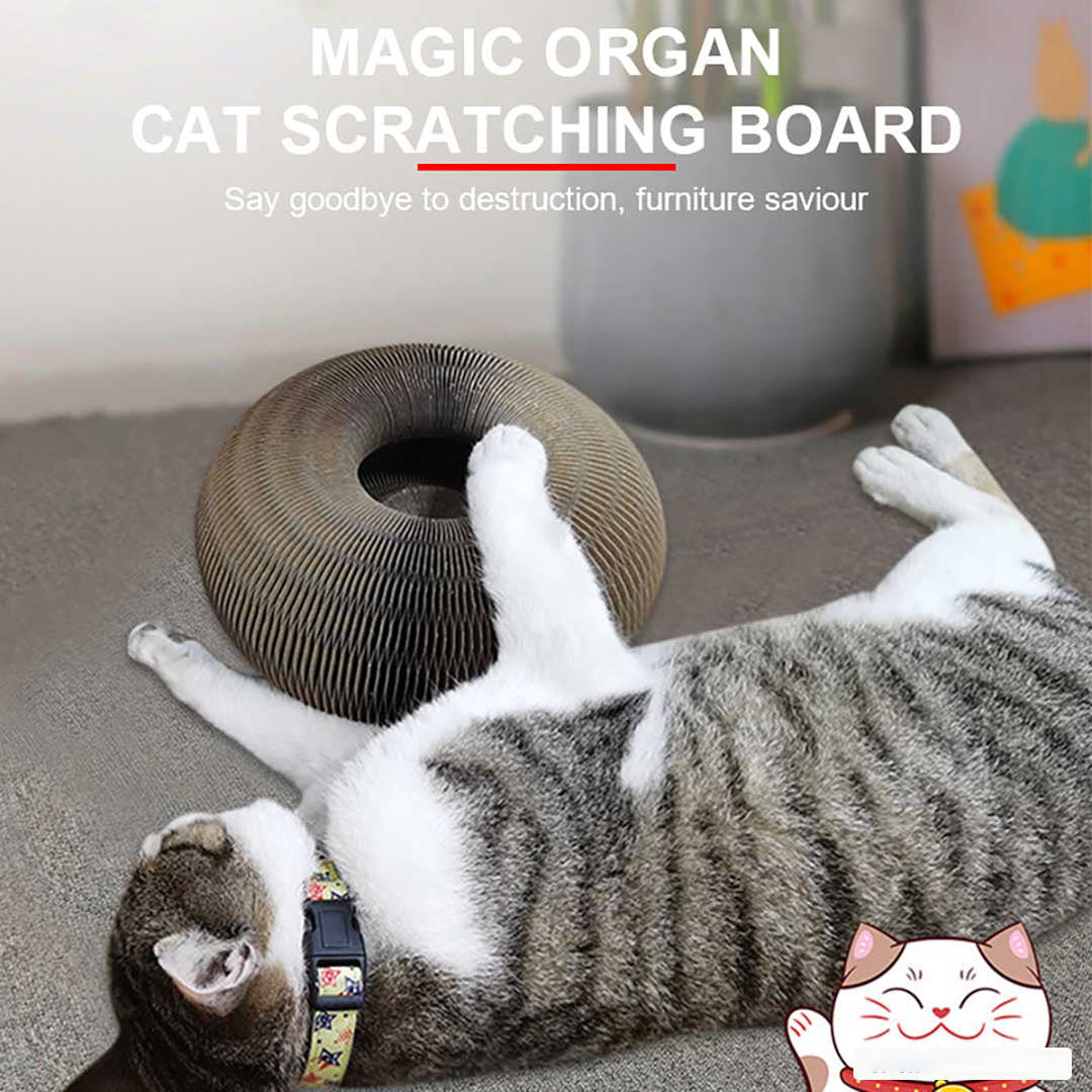 PetsBoro Magic Organ Cat Scratch Board