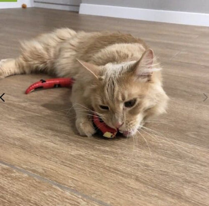Joyhnny Smart Snake Toy